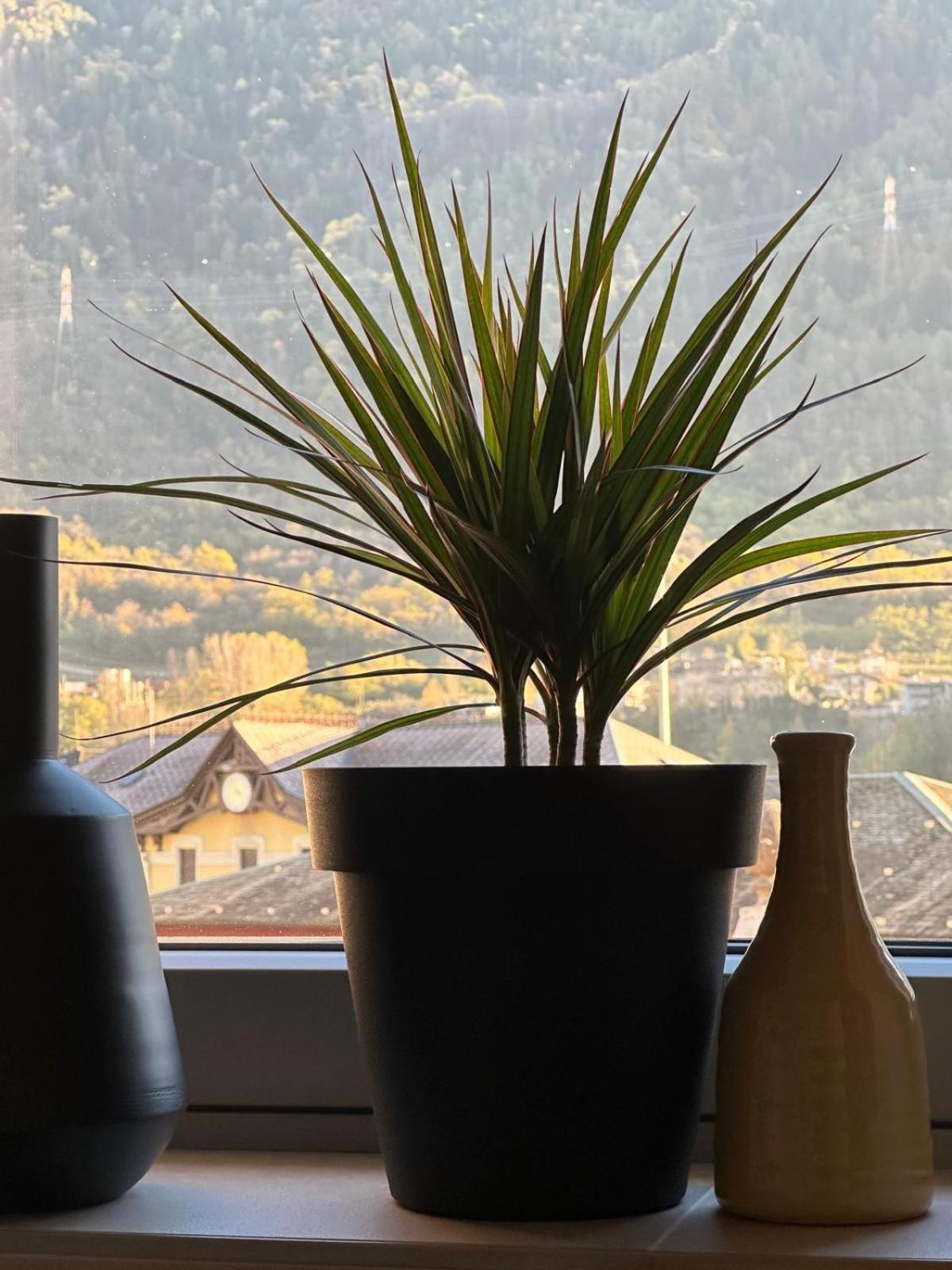 Terra Hotel Boutique Tirano Luaran gambar